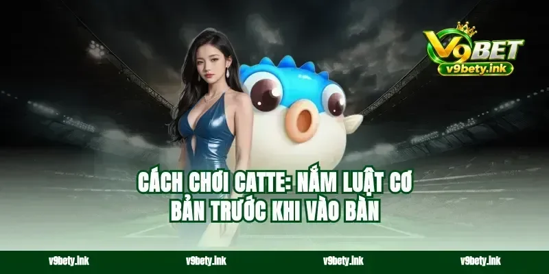 Cách chơi catte: nắm luật cơ bản trước khi vào bàn