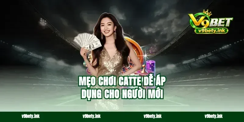 Mẹo chơi catte dễ áp dụng cho người mới